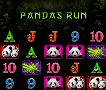 Panda's Run