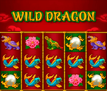 Wild Dragon